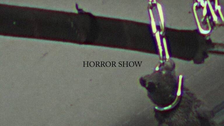 Obduktio DIY – Horror Show skatevideo￼